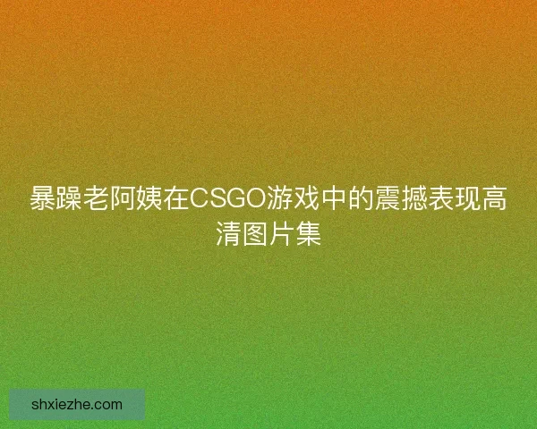 暴躁老阿姨在CSGO游戏中的震撼表现高清图片集