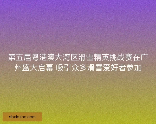 第五届粤港澳大湾区滑雪精英挑战赛在广州盛大启幕 吸引众多滑雪爱好者参加